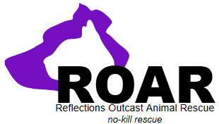 ROAR Battle Creek